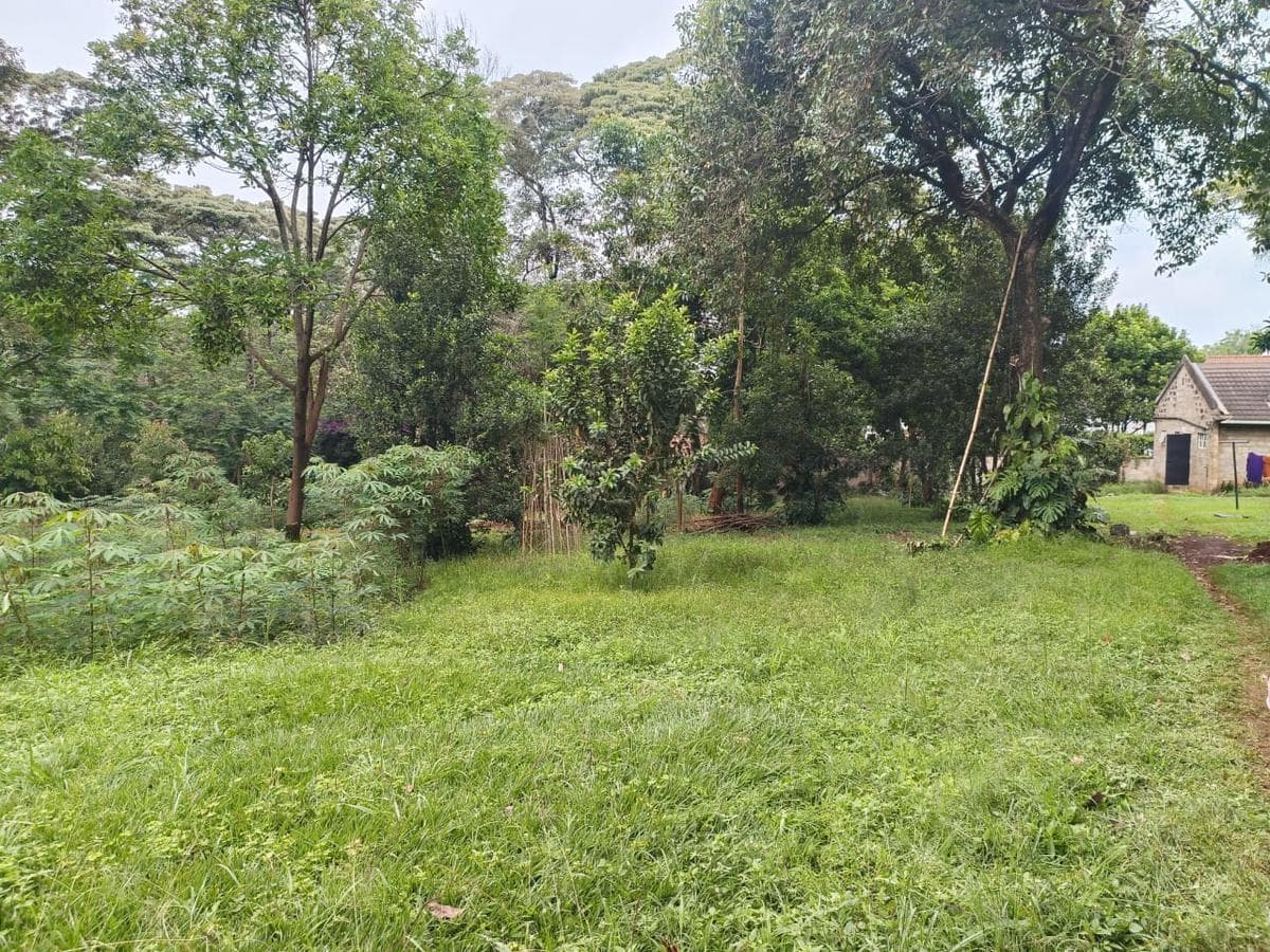Land in Muthaiga