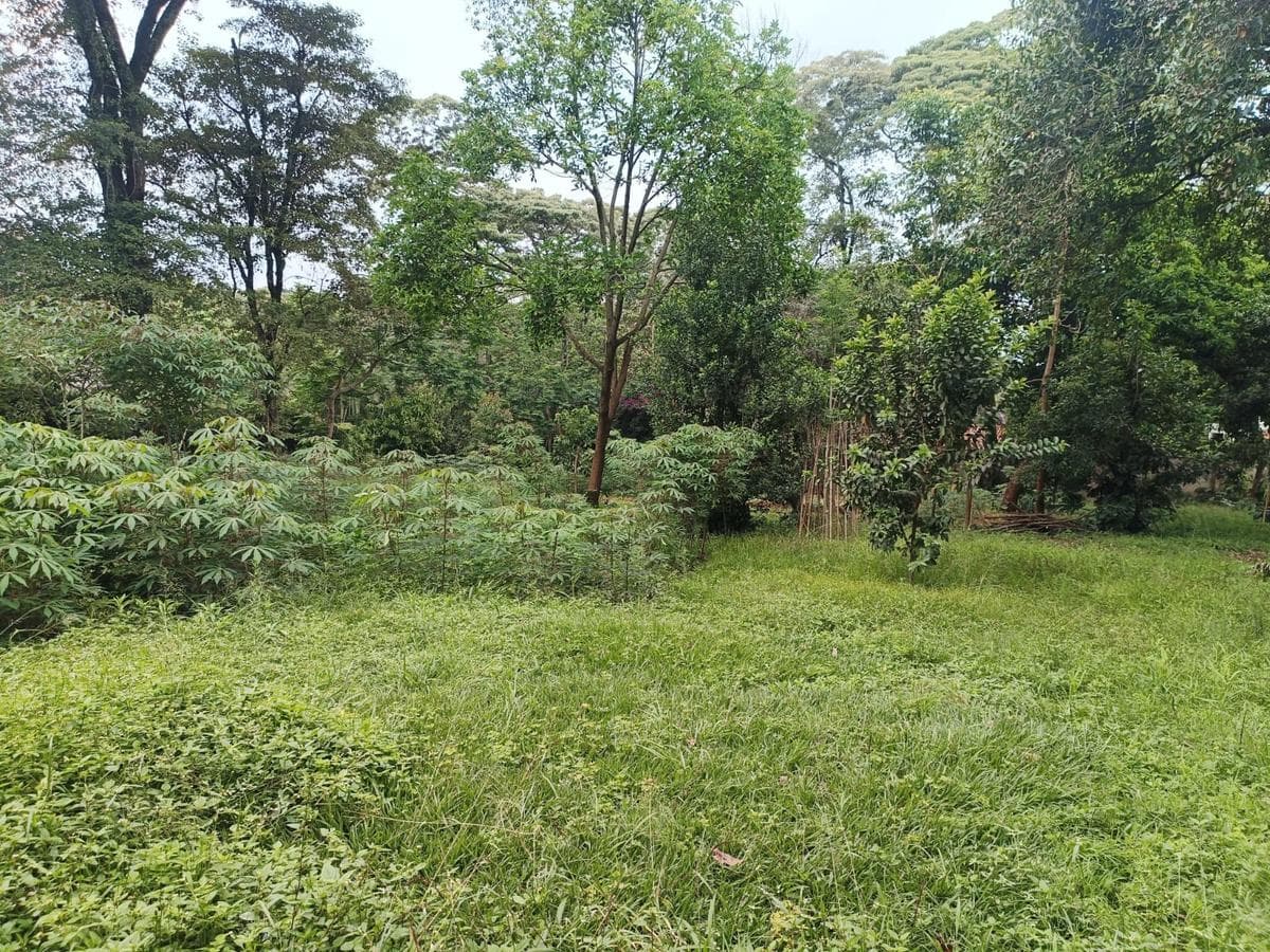 20 ac Land at Muthaiga North