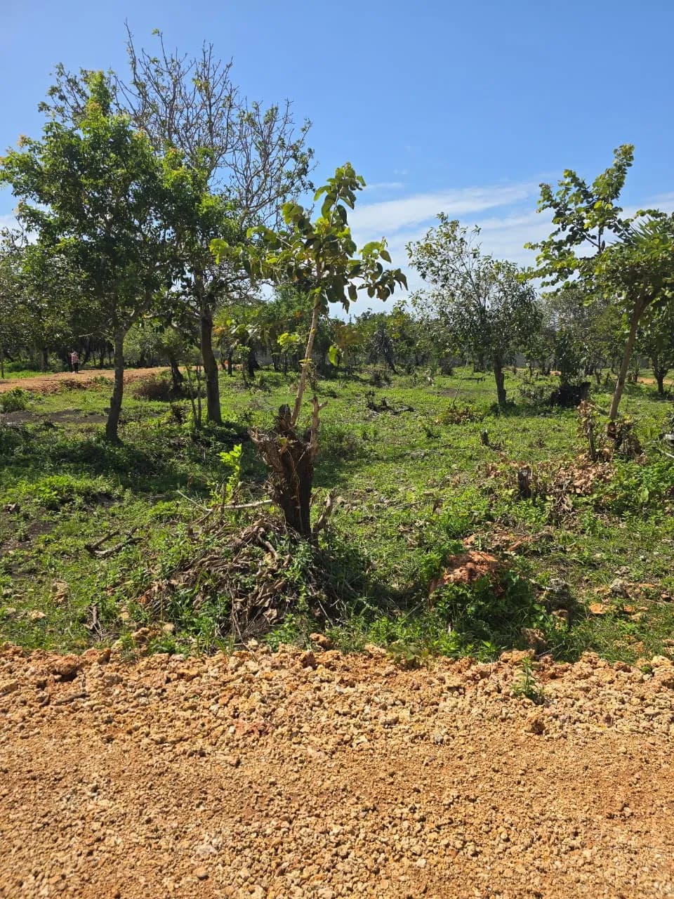 Diani Plots for Sale – Tulivu Gardens: 900m to the Beach! Best Coastal Deal !