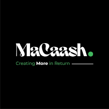 macaash investment logo
