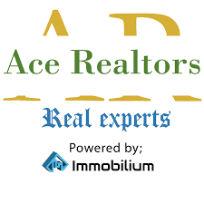Ace Realtors Limited logo